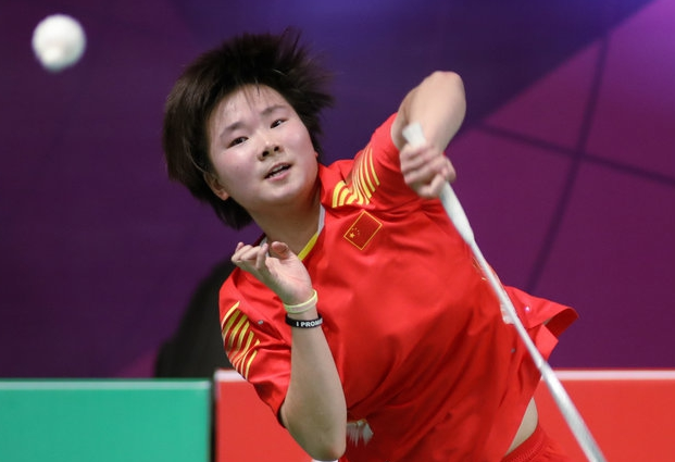 丹麦队完胜法国队，戴资颖刷新纪录的简单介绍